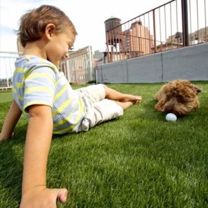 image of small boy and dog playing on synlawn synthetic turf in West Palm Beach, FL