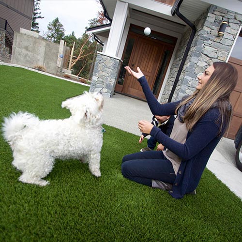 image of Pet friendly artificial grass for your furry friends available at SYNLawn West Palm Beach