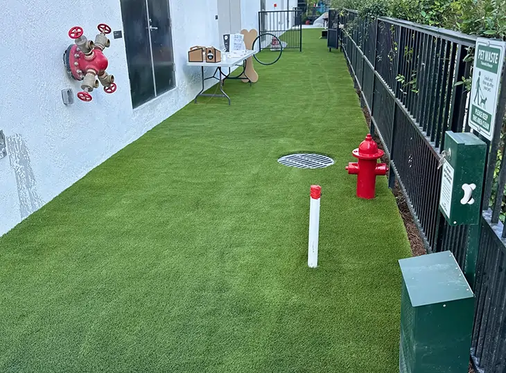 artificial grass dog run in West Palm Beach, FL